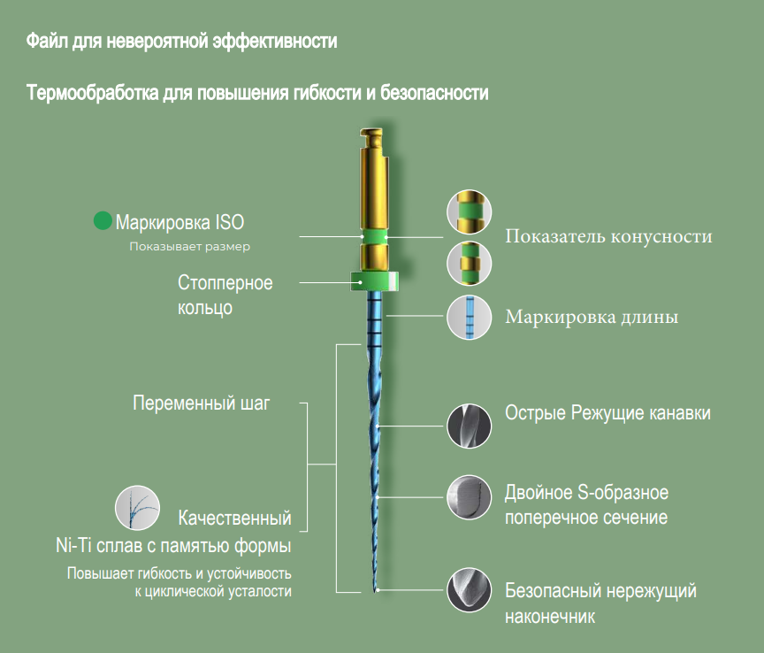 Заказать Файлы Eighteeth One | Eighteeth в интернет-магазине dialog.dental