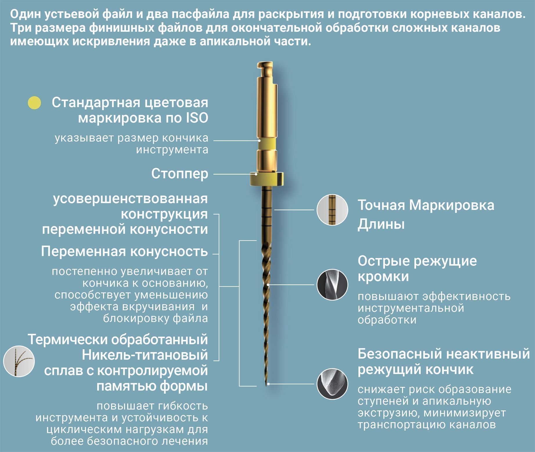 Приобрести Файлы Eighteeth S | Eighteeth в интернет-магазине dialog.dental