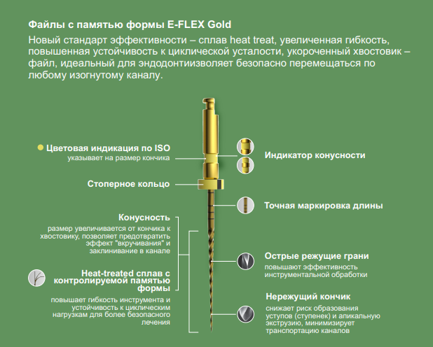 Приобрести Файлы Eighteeth Gold | Eighteeth в интернет-магазине dialog.dental